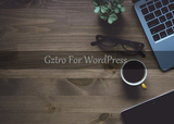 WordPress简洁主题：Gztro