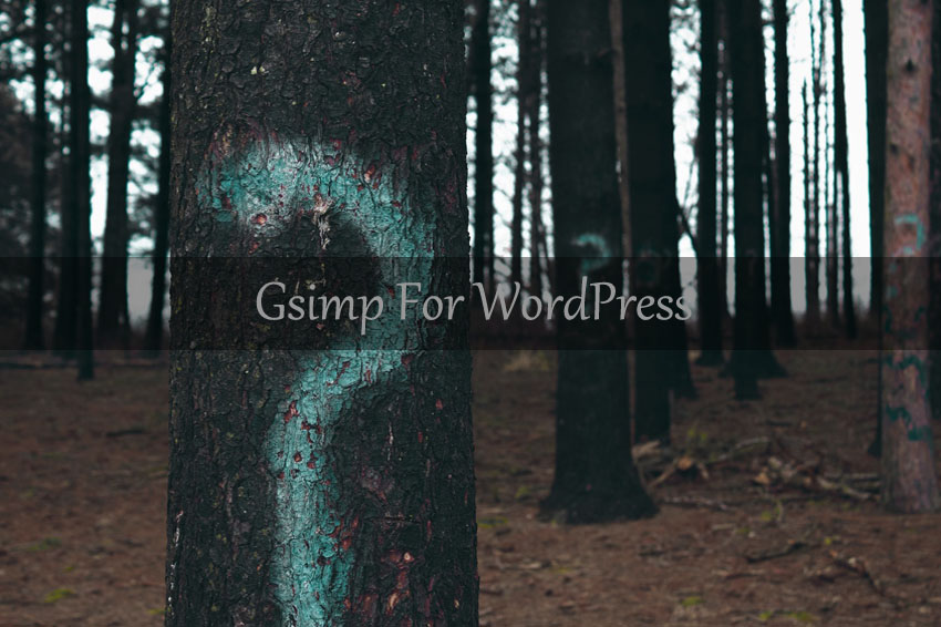 WordPress简洁主题：Gsimp